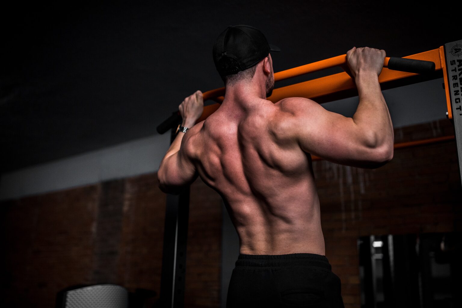 Body Row: The Complete Guide To Horizontal Pulling For Upper Back ...
