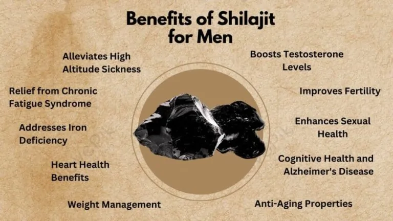 benefits of shilajit
