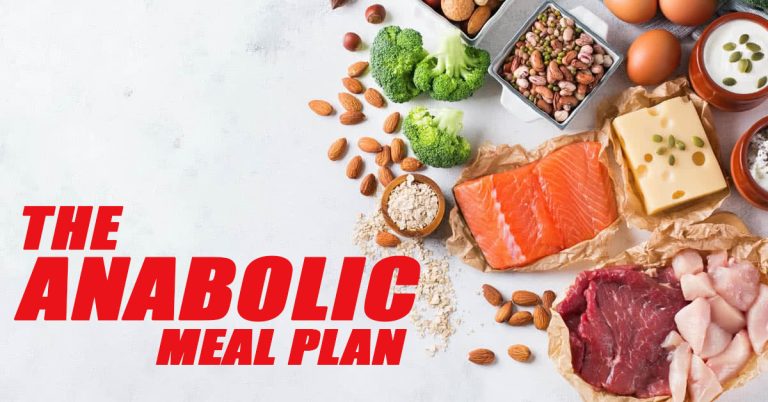 Anabolic Diet