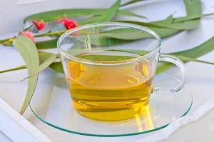 Eucalyptus Tea Leaves