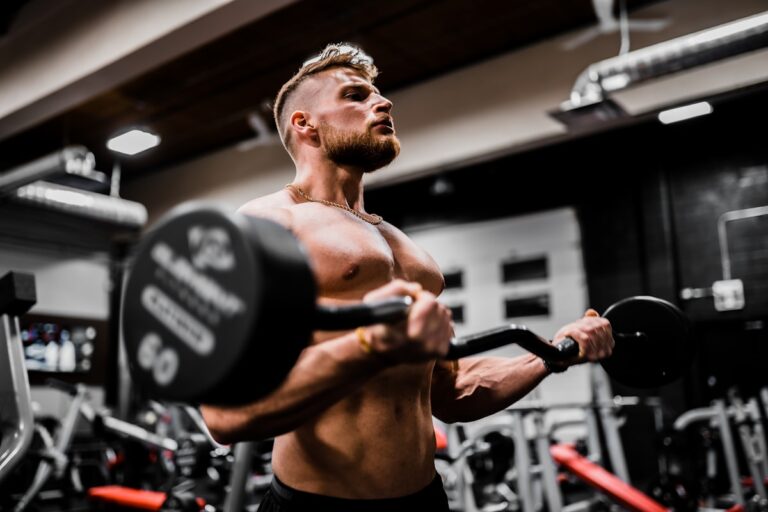 Gym training workout split