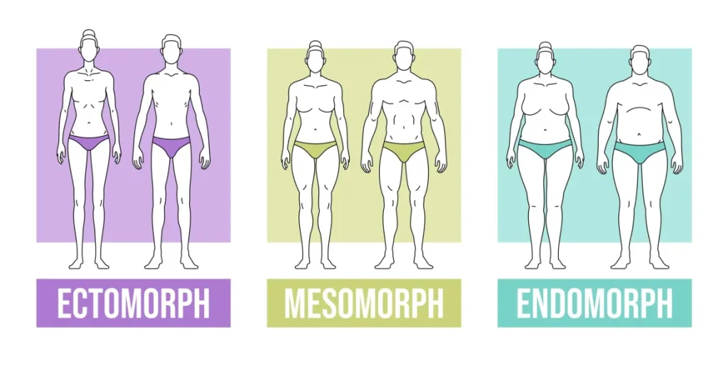 Mesomorph Body Type: Unlock Your Muscle & Strength Potential